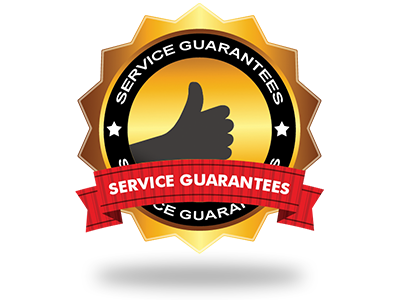 VPS Hosting Service Guarantees